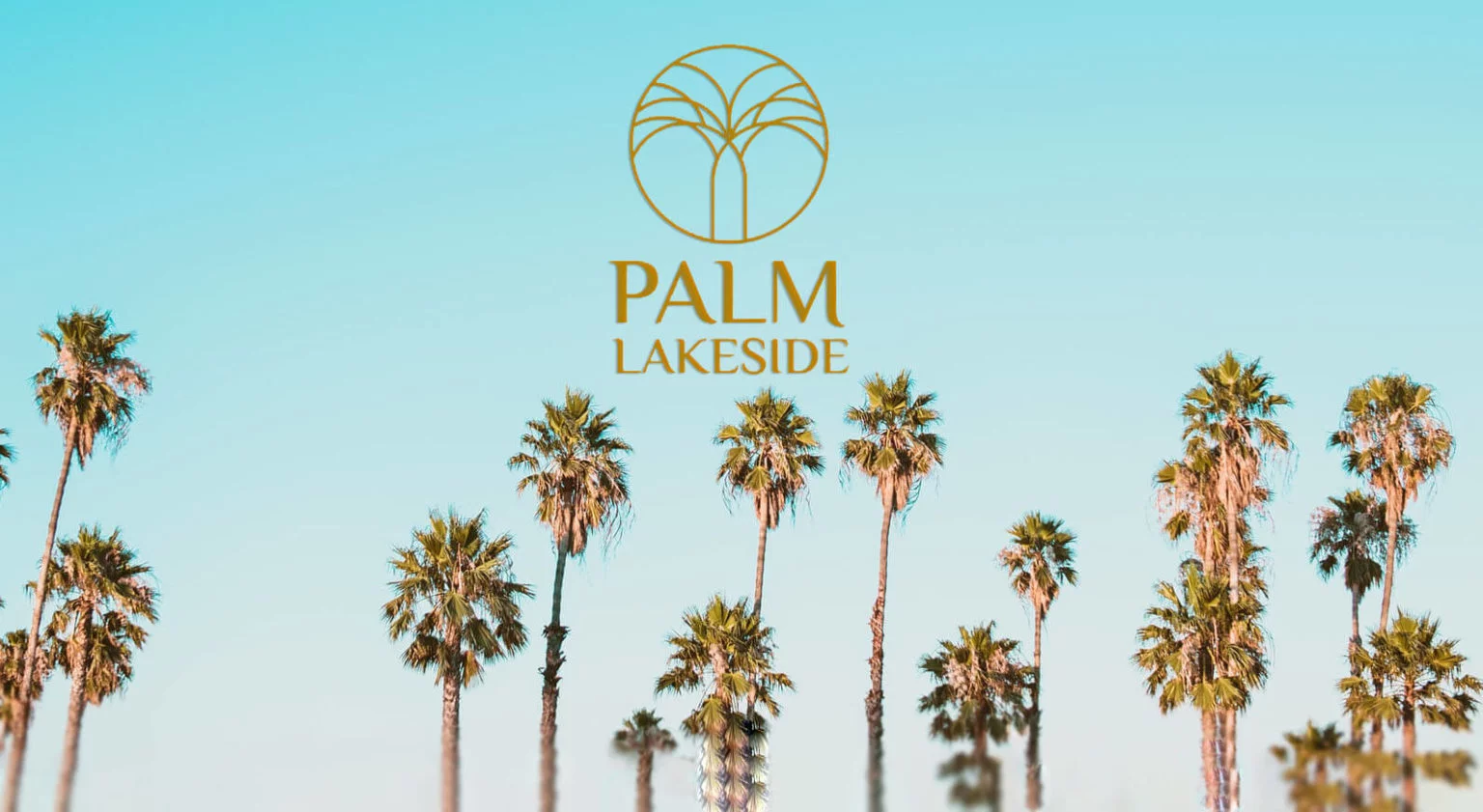 DRA Palm Lakeside Mobile Banner